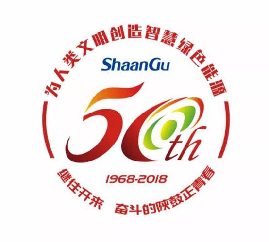 NG28集团50周年庆典LOGO正式颁布