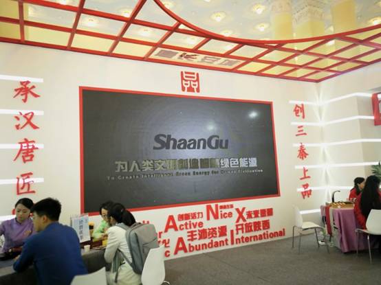 NG28集团参展首届中国自主品牌展览会智慧绿色规划获关注